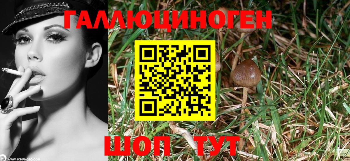 где продают   Псилоцибиновые грибы ЛСД  Вход с VPN  Можайск 