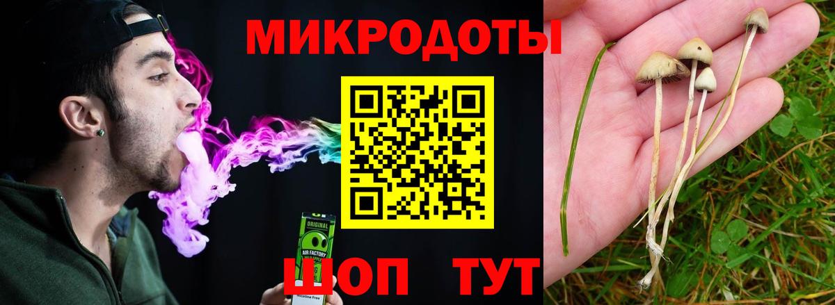 Галлюциногенные грибы ЛСД Можайск